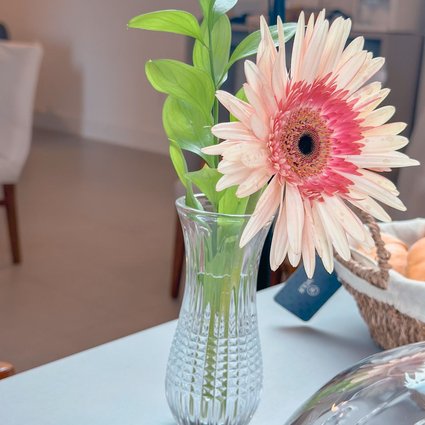 vaso queen wolff me decora casa