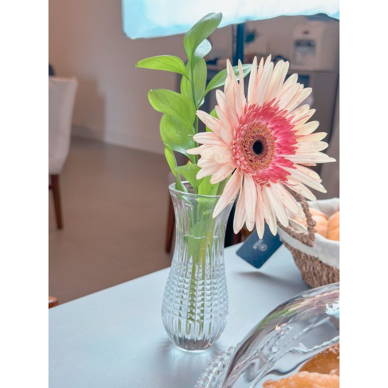 vaso queen wolff me decora casa